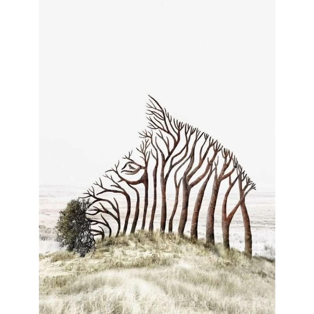 Wildlife Zebra Large Custom Fridge Magnet Home Kitchen Decor